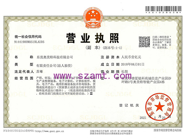 Allmerit business license