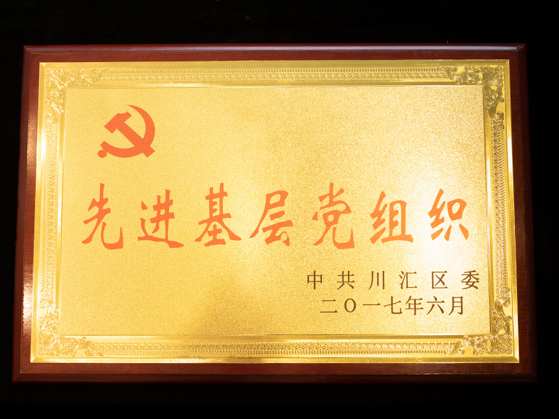 先進(jìn)基層黨組織
