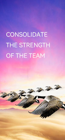 team team