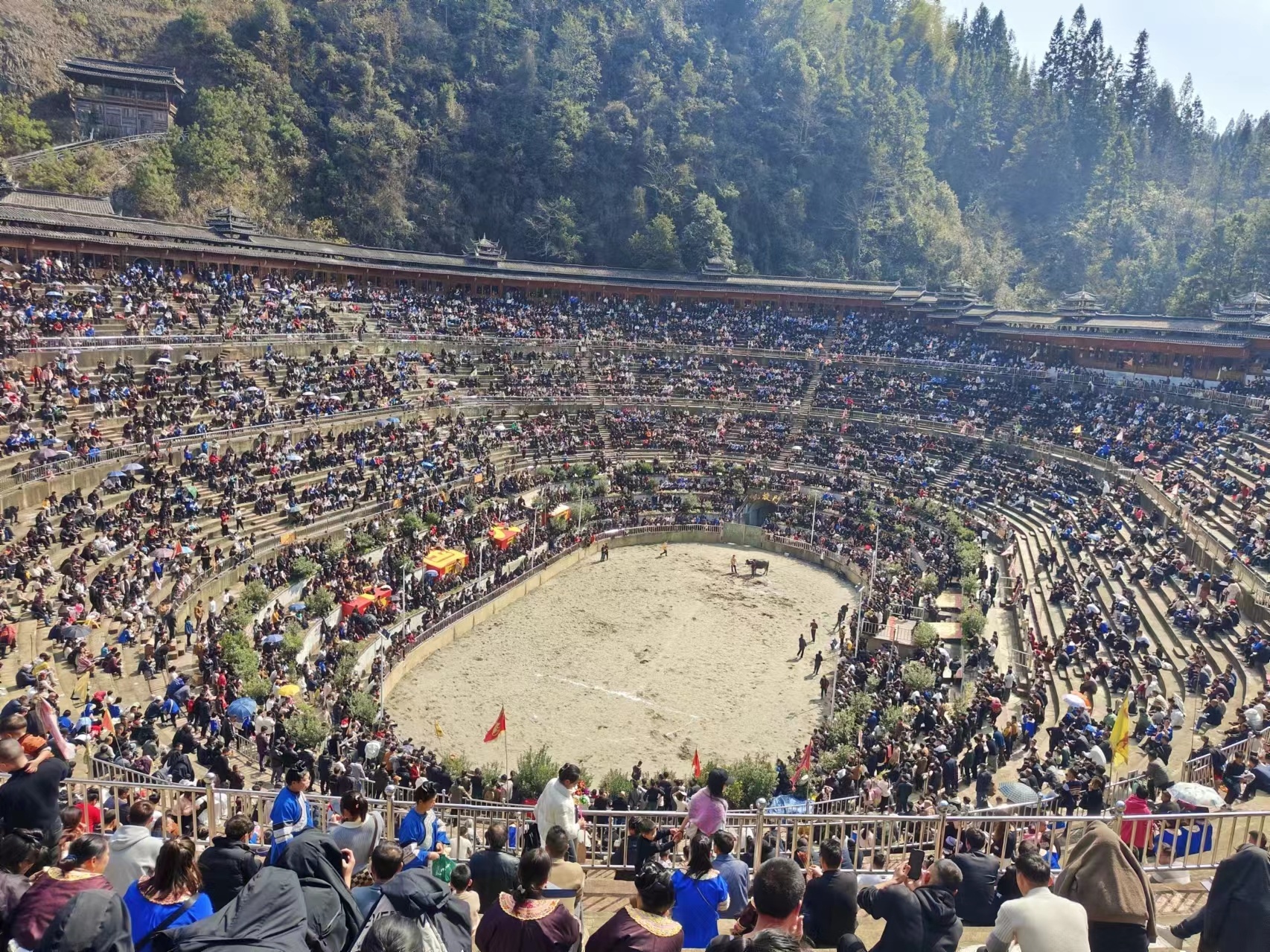 大年初三众牛对抗赛