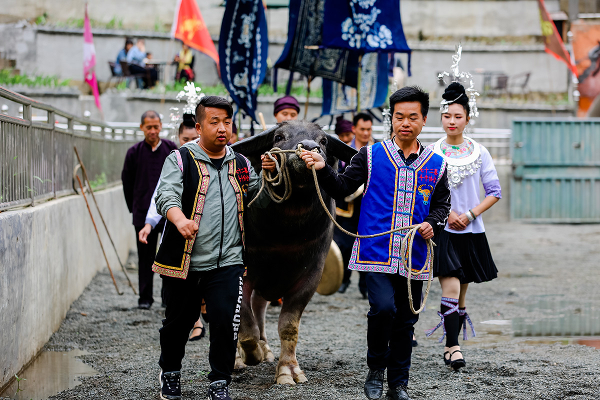 人文图片
