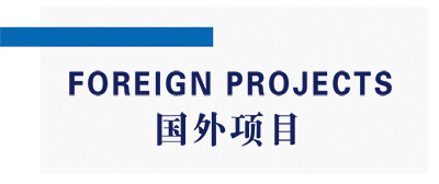 Foreign project