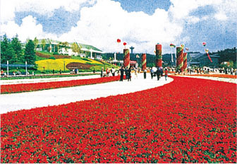 案例展示