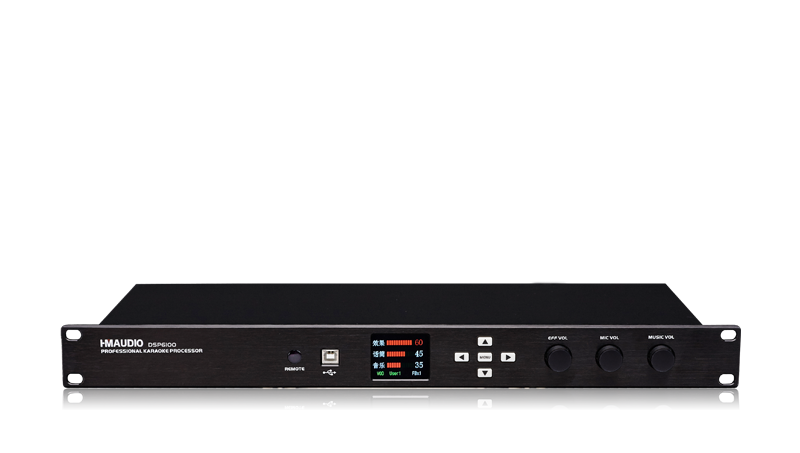 DSP6100 Professional Digital Karaoke Processor