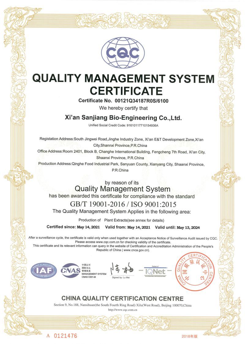 质量管理体系证书04