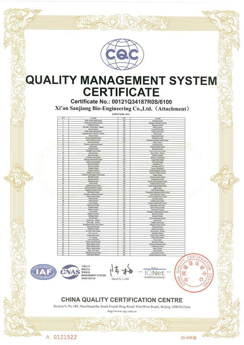 质量管理体系证书06