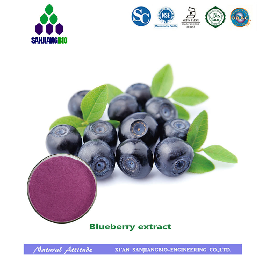 Blueberry extract 25% anthocyanins Natural blueberry extract powder Blueberry powder