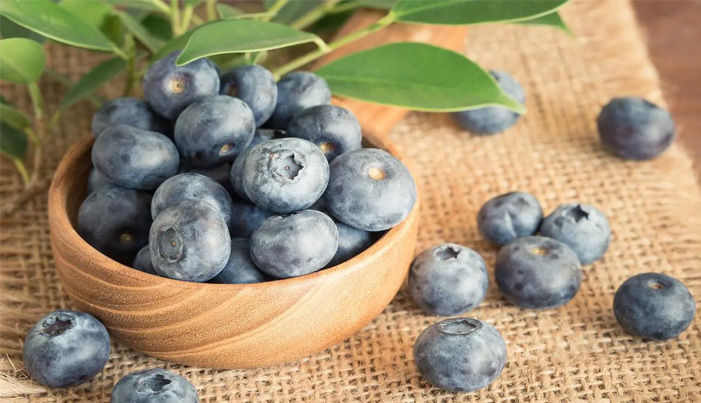 Blueberry extract can assist in radiotherapy for cervical cancer