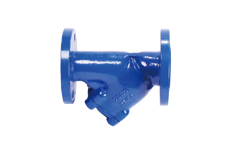 EN Y-STRAINER- FLANGE