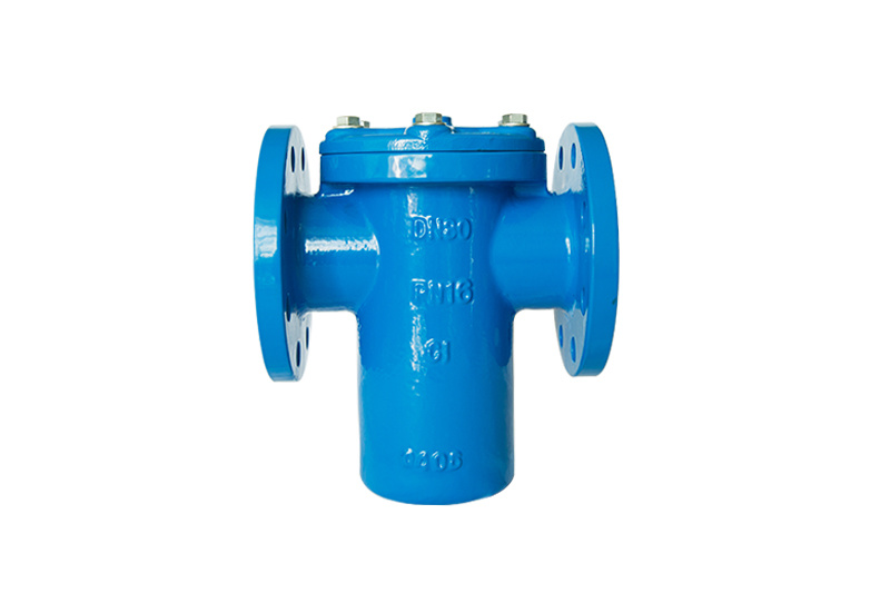 EN BASKET TYPE STRAINER
