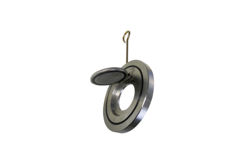EN SINGLE PLATE CHECK VALVE