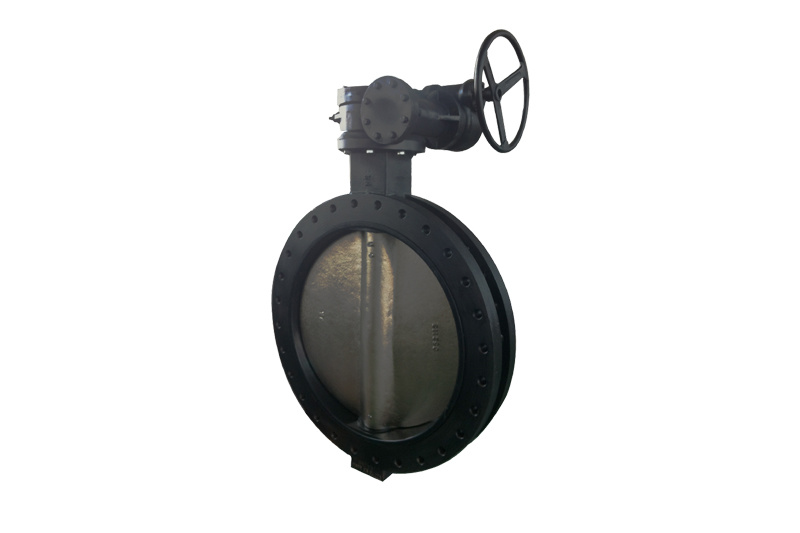 EN BUTTERFLY VALVE - U SECTION