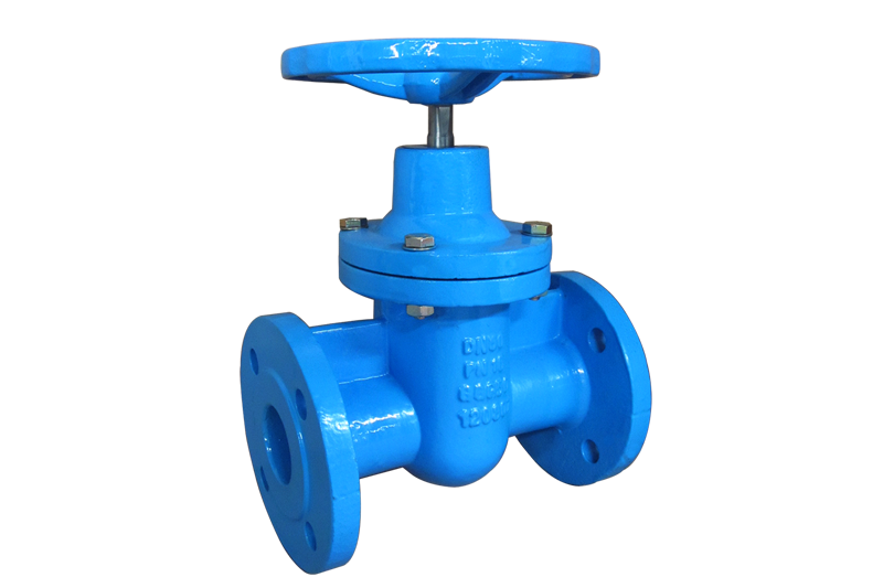 EN Metal Seat Gate Valve-NRS