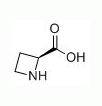 L-吖丁啶-2-羧酸