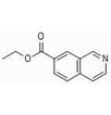 7-异喹啉甲酸乙酯