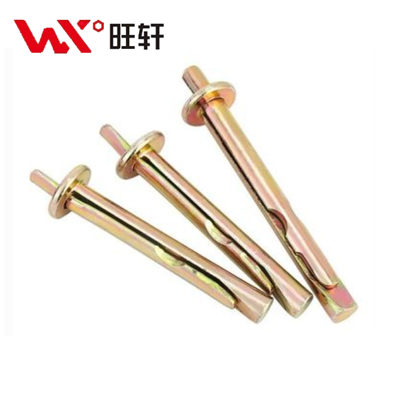 Ceiling Expansion Anchor