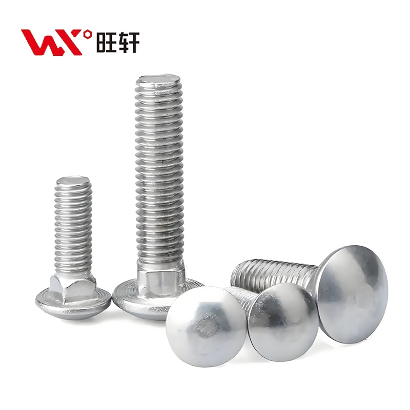Stainless Steel SS201 SS304 SS316 A2-70 A4-80 DIN603 Carriage Bolts
