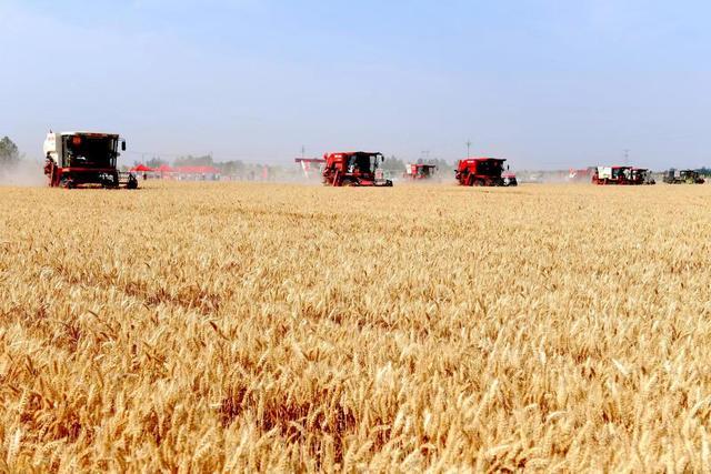 Agricultural Machinery Helps Harvest Harvest Dreams Broadcast