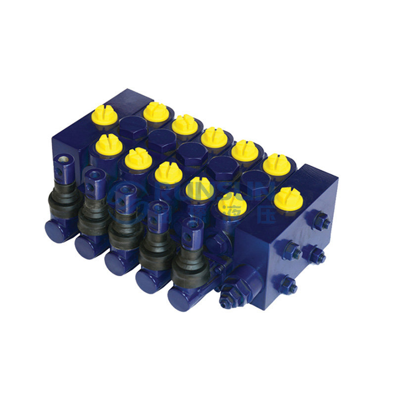 DN80 Valve