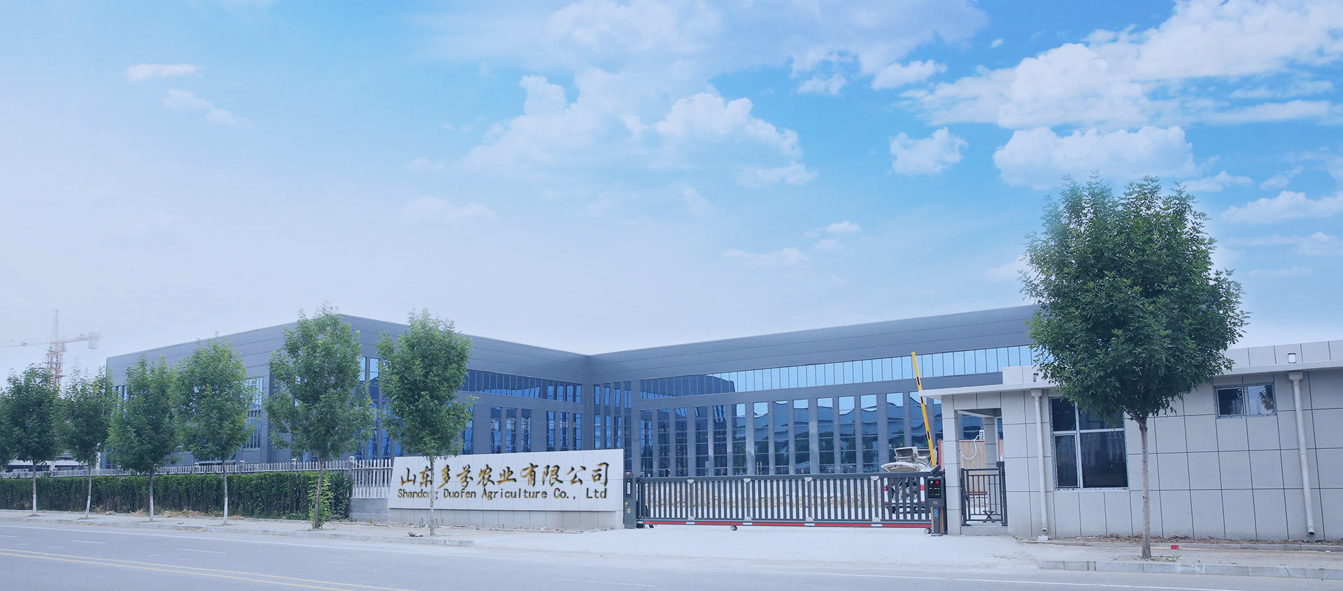 公司实力