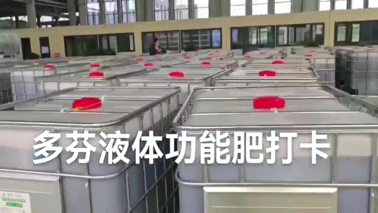 大型出货现场案例视频.mp4