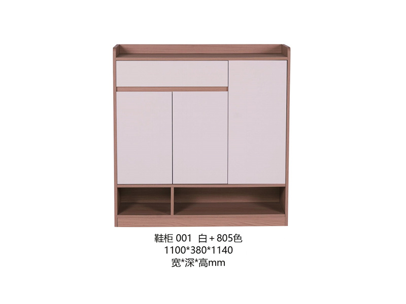 鞋柜001 白+805色
