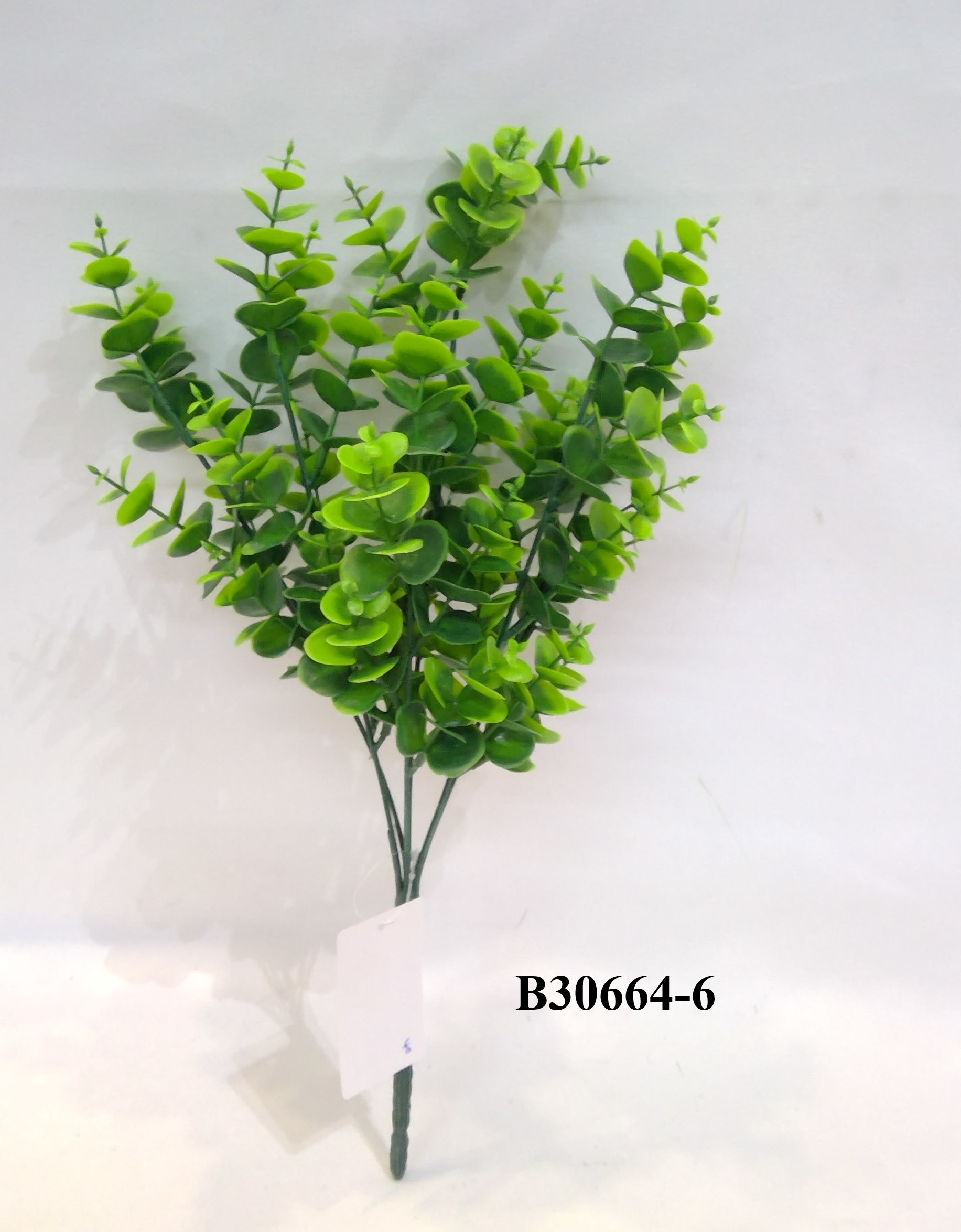 水草