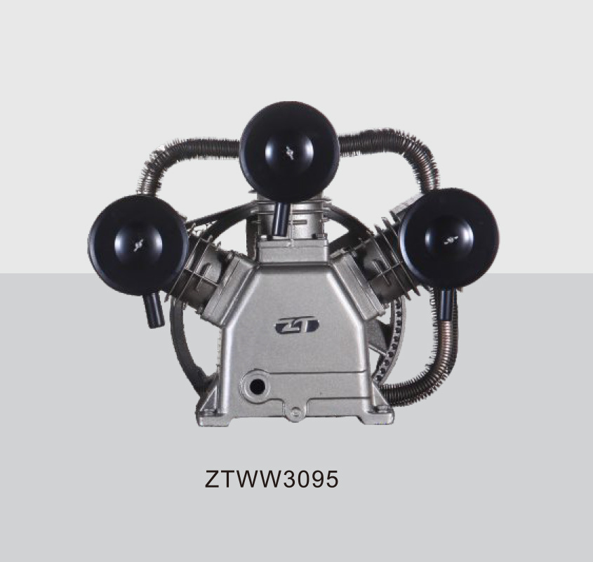 ZTWW3095