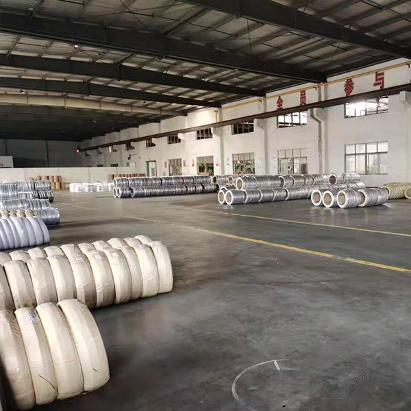 Stainless steel wire