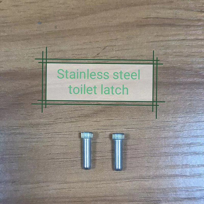 Stainless steel toilet latch