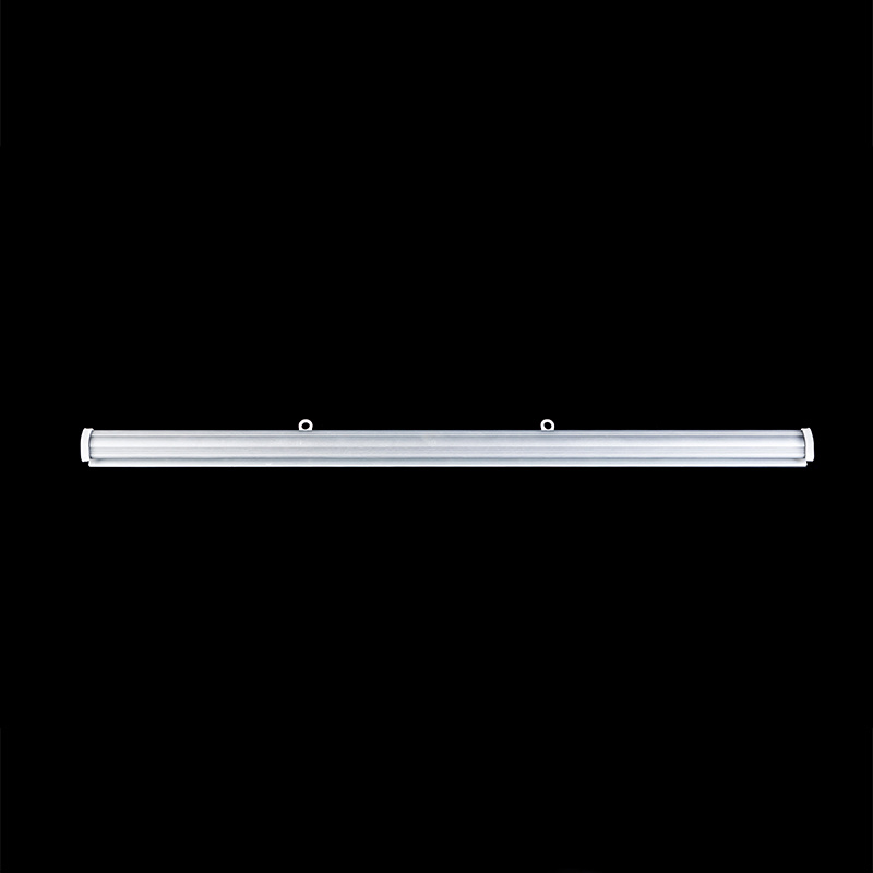 T16