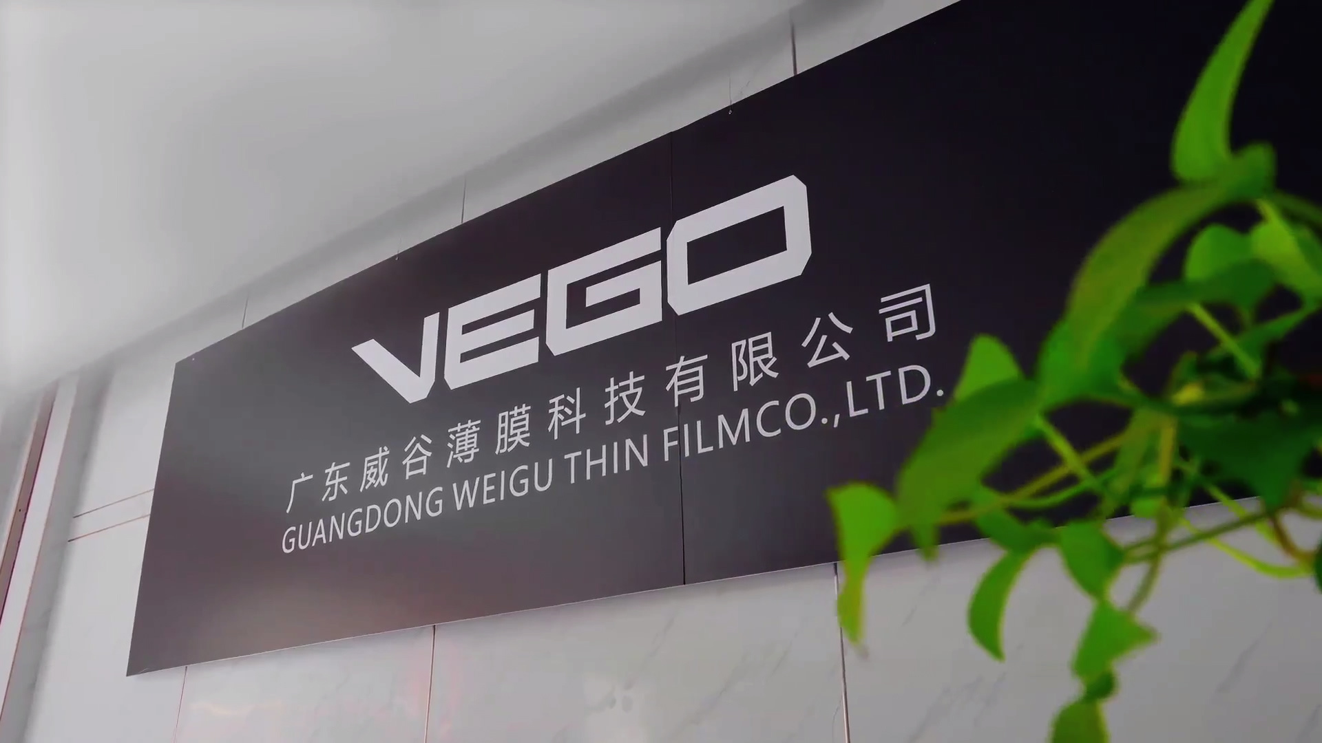 视频标题