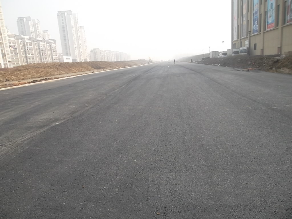 安徽新站区前江路（文忠路-大众路）市政道路工程