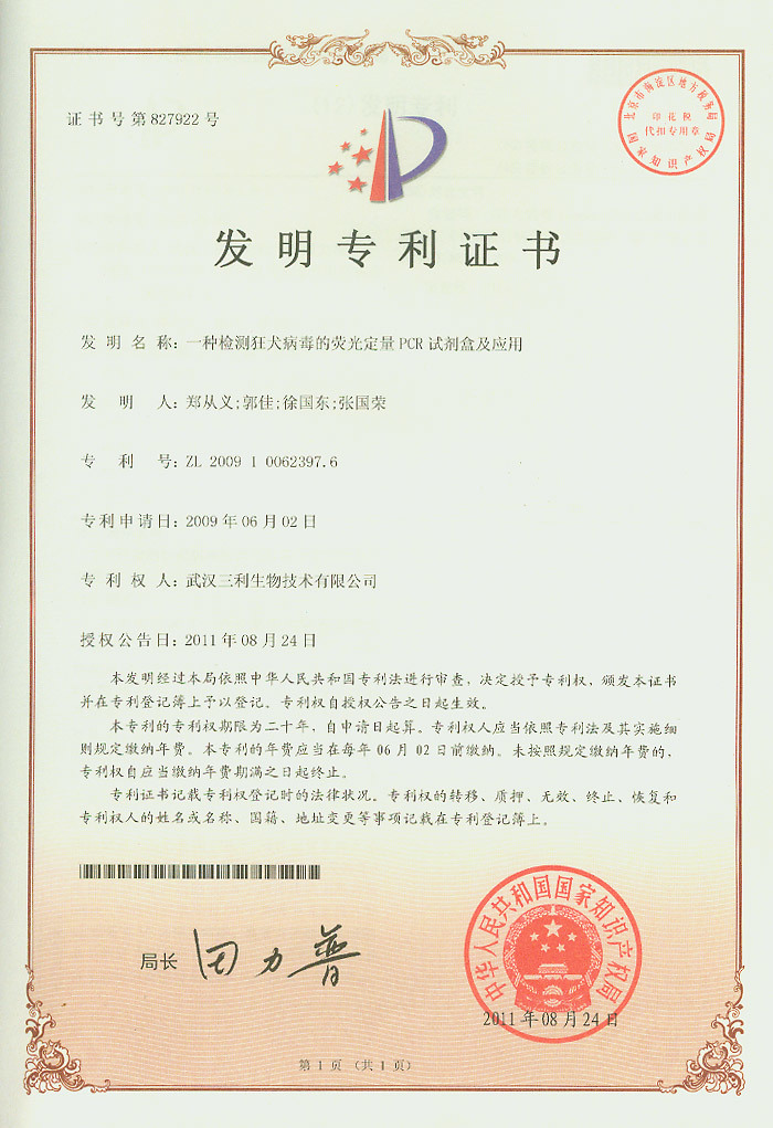95.9專利