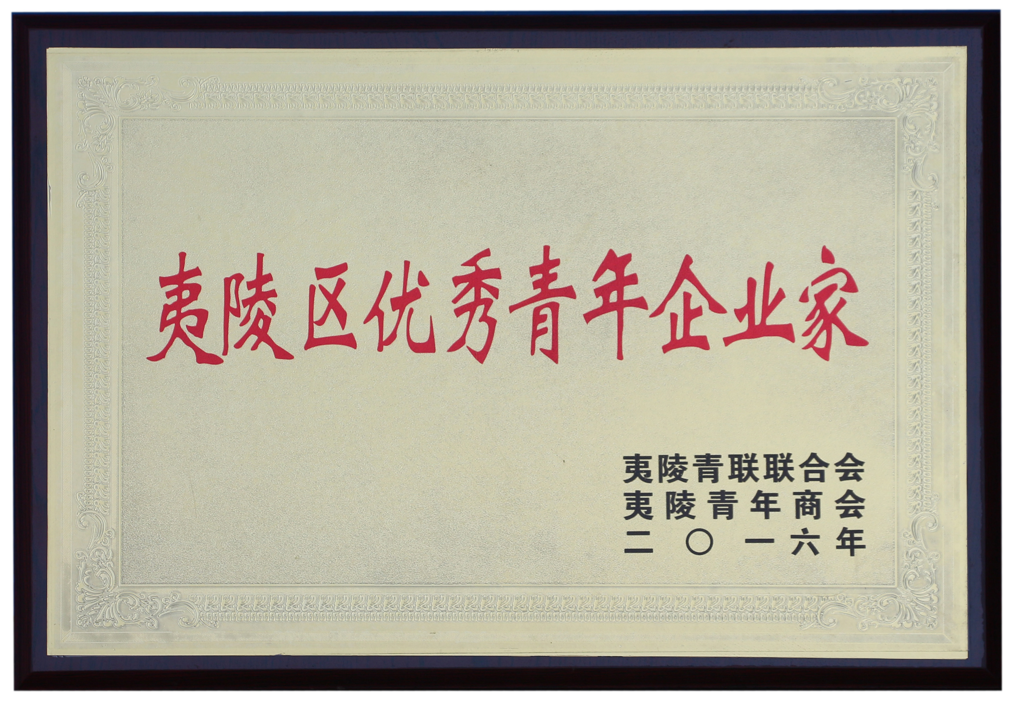 夷陵區(qū)優(yōu)秀青年企業(yè)家