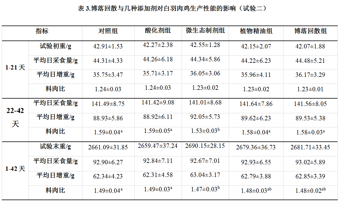 白羽肉鸡料肉比图片