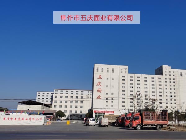 Jiaozuo City five qing noodle industry Co., LTD