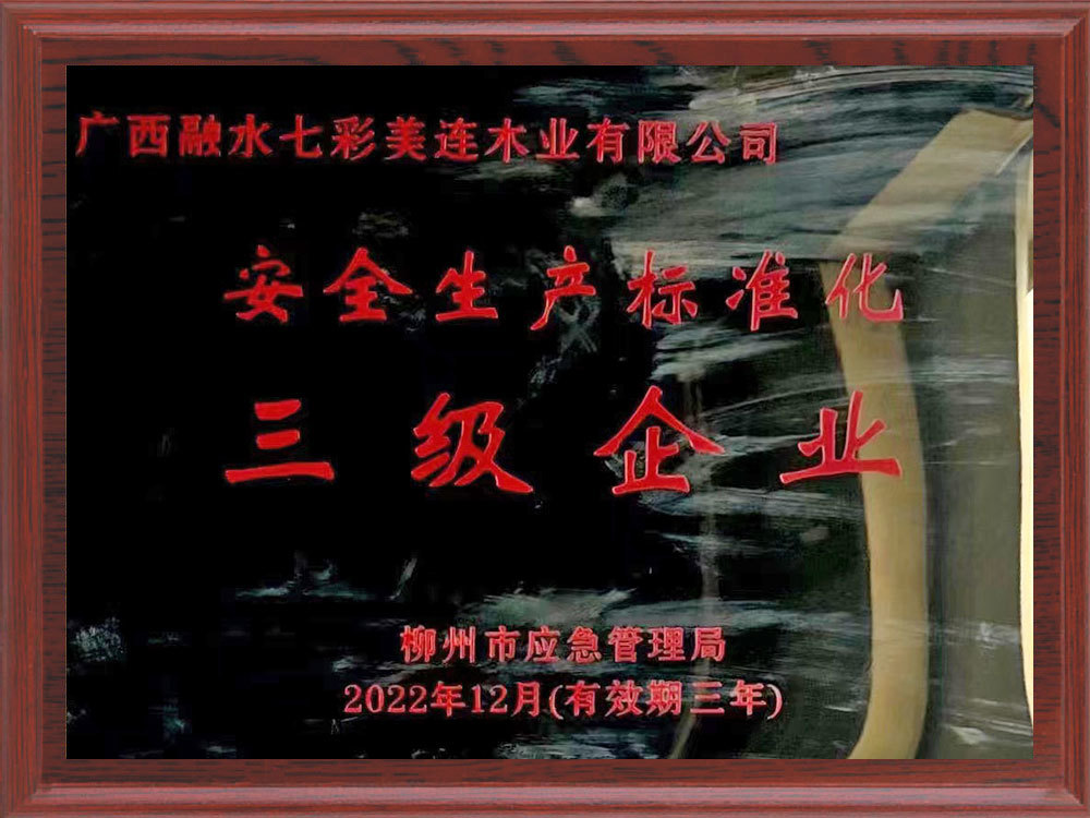 安全生產(chǎn)標(biāo)準(zhǔn)化-三級(jí)企業(yè)