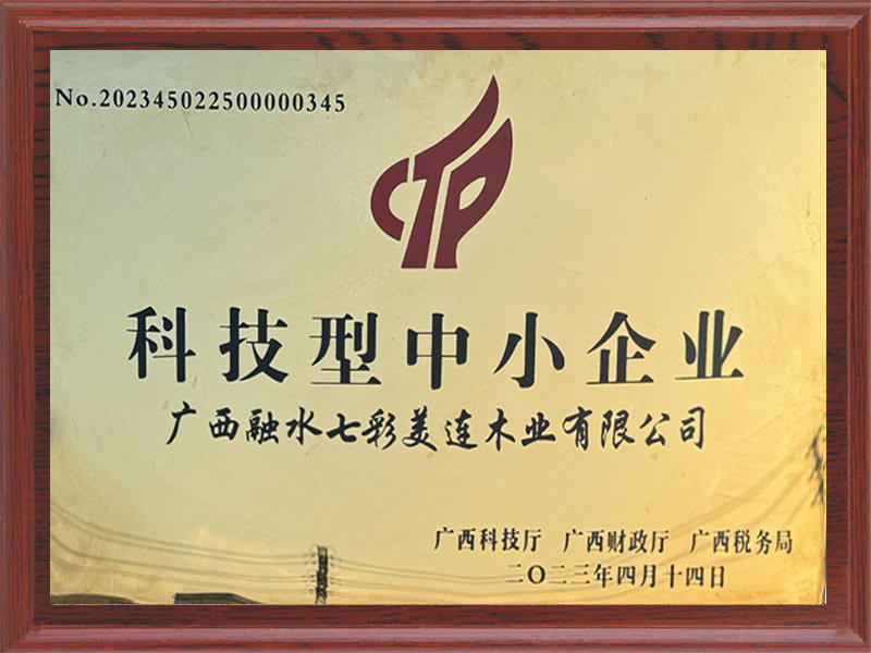 科技型中小企業(yè)