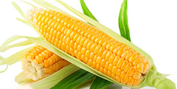中国顶尖农业公司为何要远赴美国卖玉米?