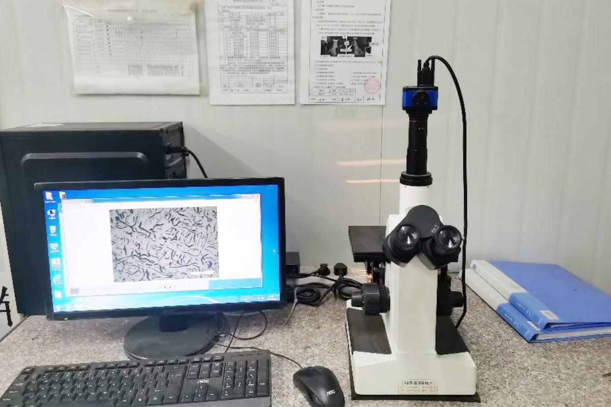 Metallographic analyzer