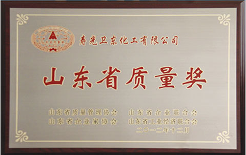 Shandong Provincial Quality Award