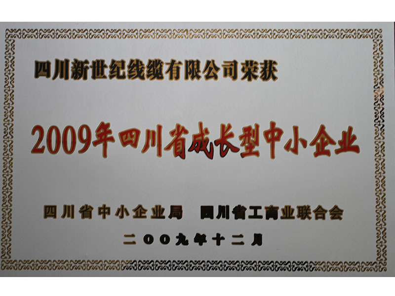 2009年度四川省成長型中小企業(yè)