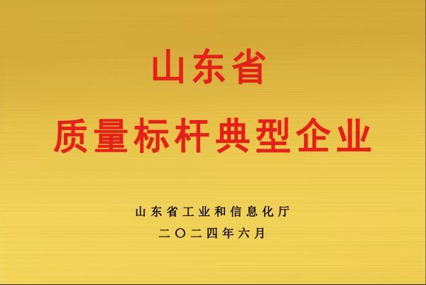 山东省质量标杆典型企业