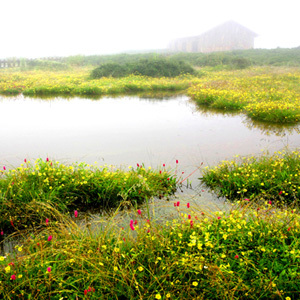 攀枝花市格薩拉旅游投資開(kāi)發(fā)有限責(zé)任公司