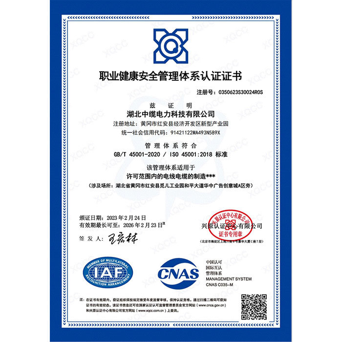 Certificate of Occupational Health and Safety Management System Certification