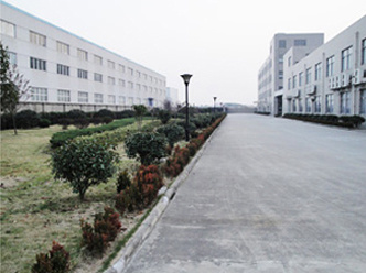 Company Environment