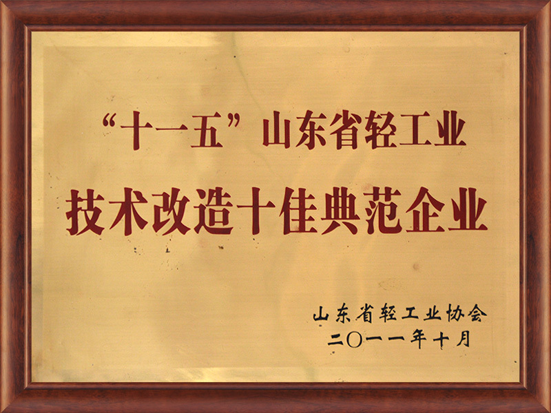 “十一五”山東省輕工業(yè)技術改造十佳典范企業(yè)