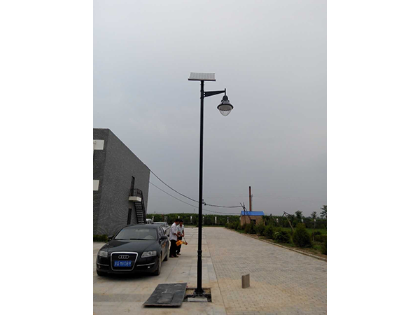 Landscape Shanxi Datong Jialun Ecological Agricultural Park 6m Single Light Head Solar Landscape Light