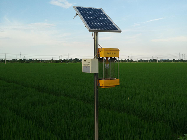 Solar Pest Control Lamp